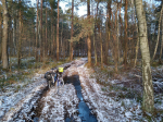 f3.jpg (thumbnail)