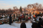 IMG_3550_m.jpg (thumbnail)