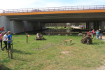 IMG_5478_m.jpg (thumbnail)