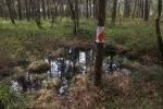 IMG_5515_m.jpg (thumbnail)