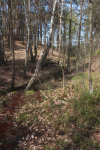 IMG_5542_m.jpg (thumbnail)