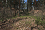 IMG_5569_m.jpg (thumbnail)