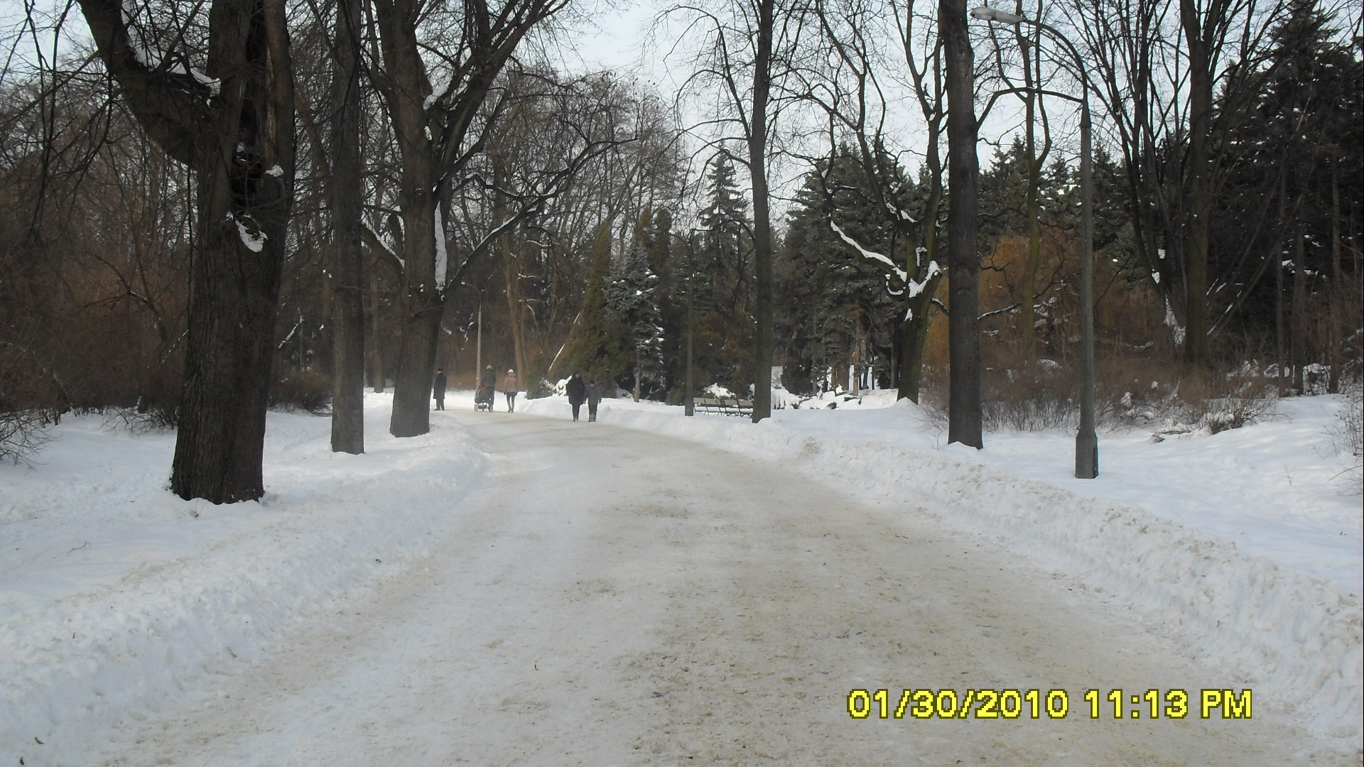 SDC10632.JPG (thumbnail)