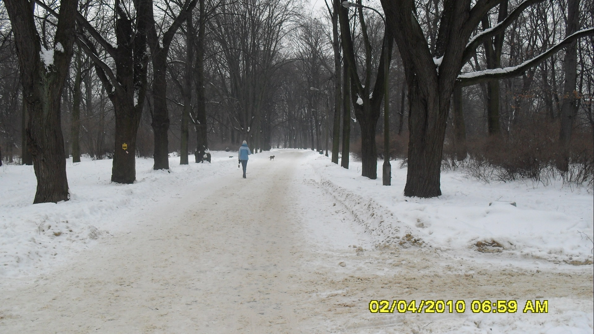 SDC10667.JPG (thumbnail)