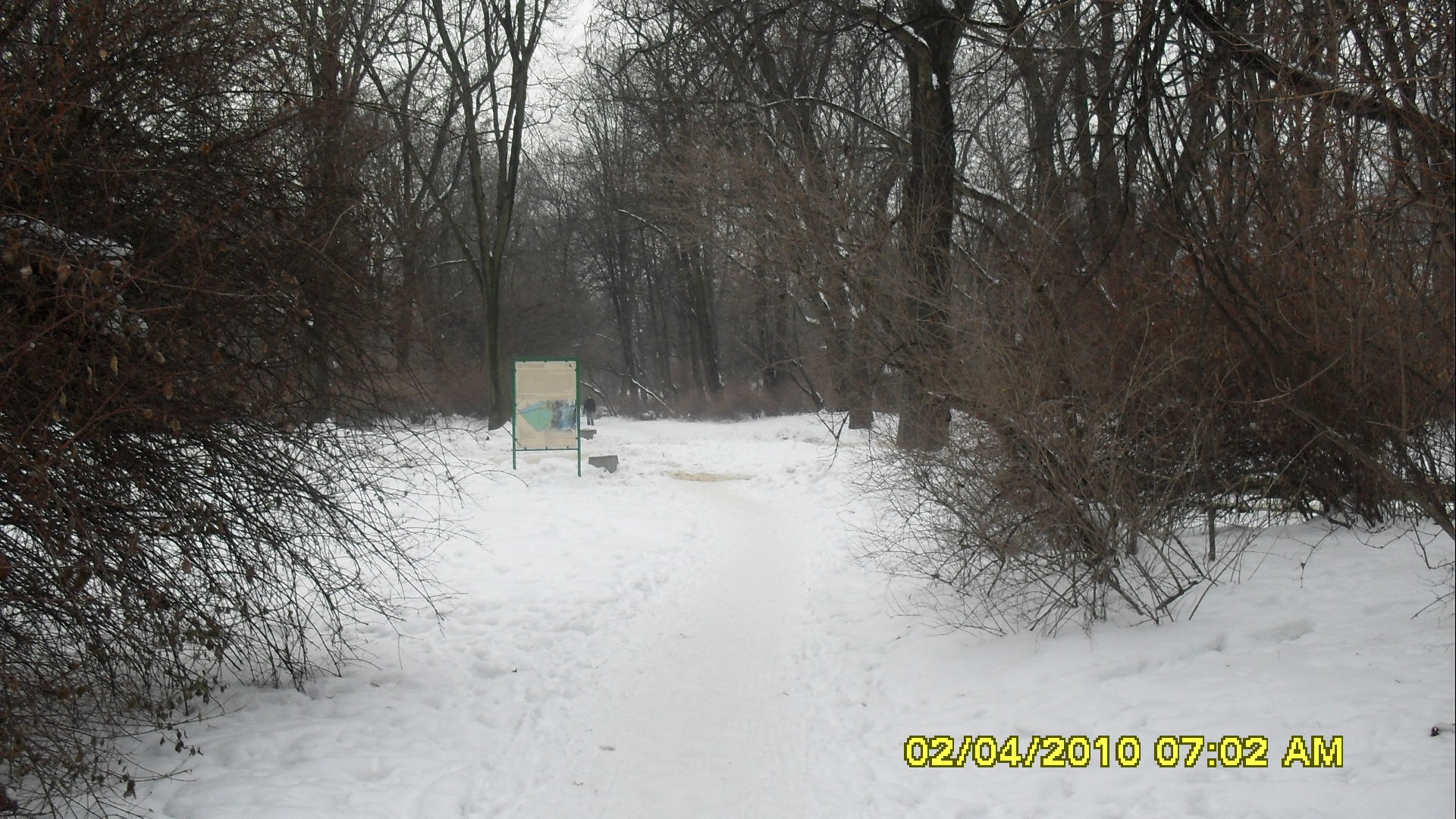 SDC10669.JPG (thumbnail)