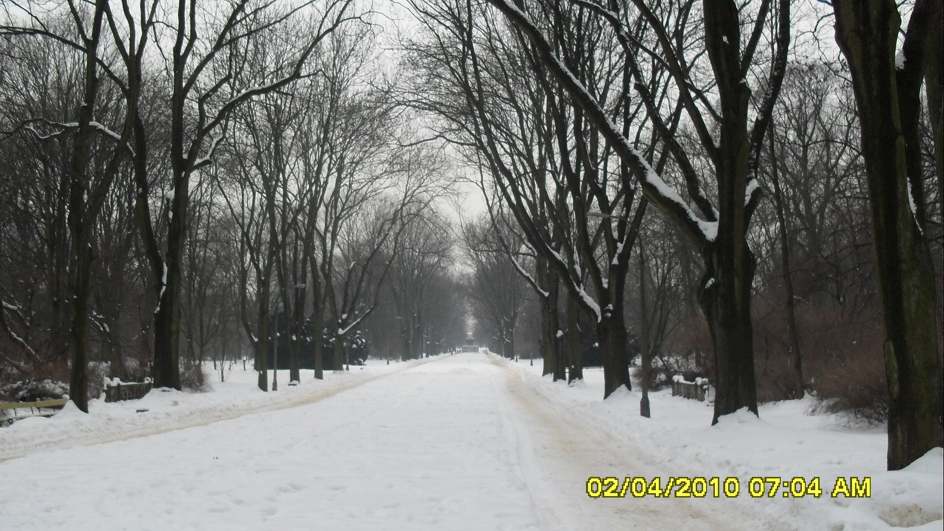 SDC10670.JPG (thumbnail)