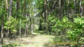 SDC11115.JPG (thumbnail)