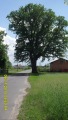 SDC11117.JPG (thumbnail)