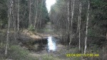 SDC12104.JPG (thumbnail)