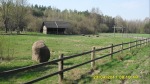SDC12105.JPG (thumbnail)