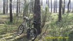 SDC12107.JPG (thumbnail)