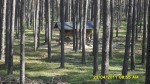 SDC12110.JPG (thumbnail)