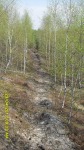 SDC12111.JPG (thumbnail)