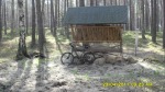 SDC12112.JPG (thumbnail)