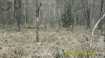 SDC12115.JPG (thumbnail)