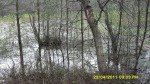 SDC12118.JPG (thumbnail)