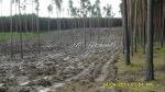 SDC12145.JPG (thumbnail)