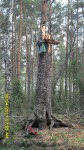 SDC12146.JPG (thumbnail)