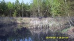 SDC12147.JPG (thumbnail)