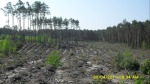 SDC12148.JPG (thumbnail)