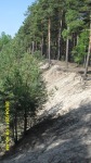SDC12149.JPG (thumbnail)