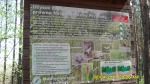 SDC12150.JPG (thumbnail)