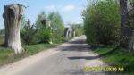 SDC12152.JPG (thumbnail)
