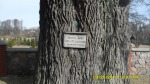 SDC13863.JPG (thumbnail)