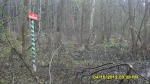 SDC13946.JPG (thumbnail)
