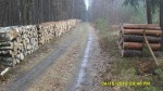 SDC13948.JPG (thumbnail)