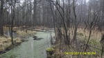 SDC13951.JPG (thumbnail)