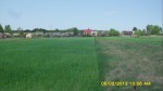 SDC14505.JPG (thumbnail)