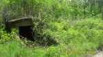 SDC14510.JPG (thumbnail)