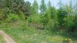 SDC14511.JPG (thumbnail)