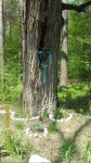 SDC14513.JPG (thumbnail)