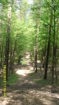 SDC14514.JPG (thumbnail)