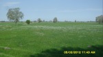 SDC14515.JPG (thumbnail)