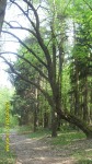 SDC14516.JPG (thumbnail)