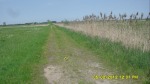 SDC14517.JPG (thumbnail)