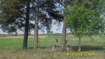 SDC14521.JPG (thumbnail)