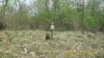 SDC14523.JPG (thumbnail)