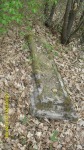 SDC14524.JPG (thumbnail)