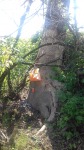DyMnO 2018 006_m.jpg (thumbnail)