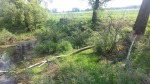 DyMnO 2018 007_m.jpg (thumbnail)