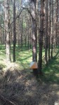 DyMnO 2018 008_m.jpg (thumbnail)