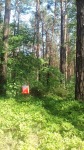 DyMnO 2018 011_m.jpg (thumbnail)
