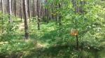 DyMnO 2018 012_m.jpg (thumbnail)
