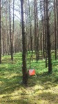 DyMnO 2018 014_m.jpg (thumbnail)