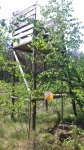 DyMnO 2018 016_m.jpg (thumbnail)