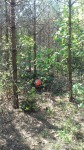 DyMnO 2018 017_m.jpg (thumbnail)
